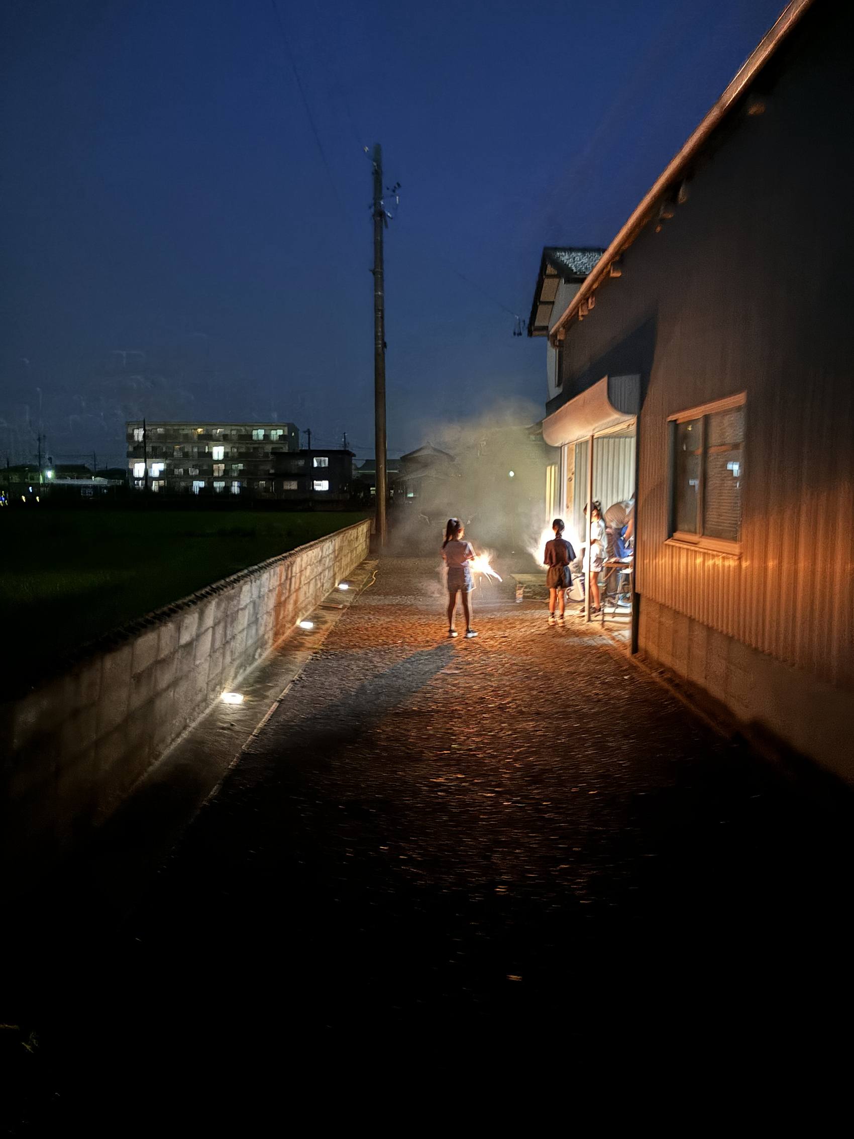 夏の夜、庭で手持ち花火を楽しむゲスト